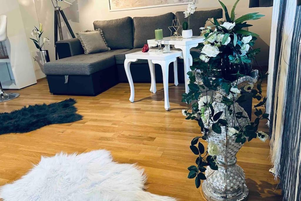 12-Fratelli Apartments Schloss Schonbrunn 10 To City Wien Ngoại thất bức ảnh